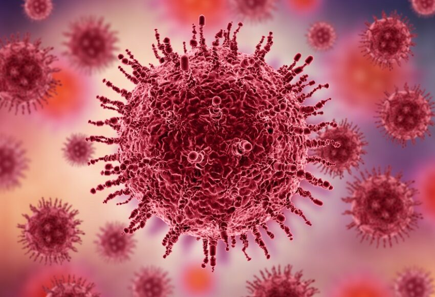 Pesquisa da Fiocruz PE busca identificar a presença do vírus HTLV entre gestantes ISMEP